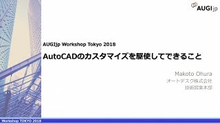 WorkShopTokyo 2018 AutoCADのカスタマイズを駆使してできること