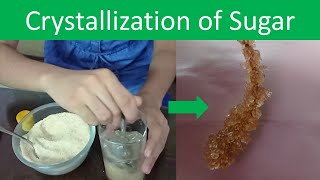 Crystallization of Sugar - Science Experiment For Kids | The Science Girl
