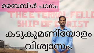 Bible study കടുകുമണിയോളം വിശ്വാസം.