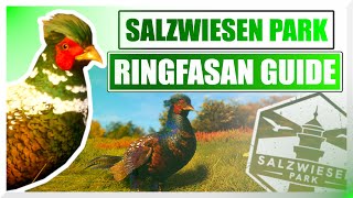 RINGFASAN GUIDE für den SALZWIESEN PARK! deutsch | theHunter Call of the Wild