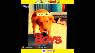 dogs IQ🤣wait for end😂 #funny #shortsfeed #funnyshorts #shortvideo #trending #viral #facts #memes