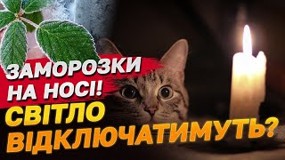 Відключення світла через заморозки буде?