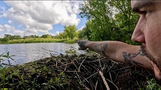 “BEAVERS OCEANIC MISTAKE” Beaver Dam Removal Releases Oceans Tidal Wave