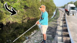 Everglades Roadside Fishing Using Shiners!!