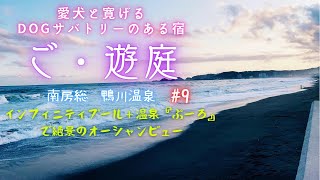 【愛犬と旅行】愛犬と寛げるDogサバトリーのある宿『ご・遊庭』南房総鴨川温泉〜インフィニティ＋温泉ぷーろで絶景オーシャンビュー〜東京駅地下街散策