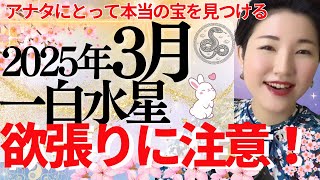 【占い】2025年3月一白水星さん運勢「さらなる飛躍のために、重要な準備期間✨ドッシリ構える事が開運の鍵」全体・前半・中盤・後半・3つの開運アクション