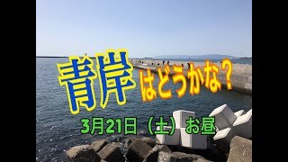 3月21日（土）【青岸】リアルタイム！ fishingmax和歌山インター店