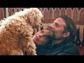 The Breakout Star Of ‘A Star Is Born’ Is Bradley Cooper’s Actual-Life Canine