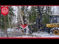 farmikko 300tce tree shear with ponsse elk