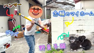 【念願のマイホームはトラブルがいっぱい🤣襲い掛かるパパ！駐車場で産まれた子猫☆大量の不用品！】3歳＆0歳9ヶ月 Japanese baby