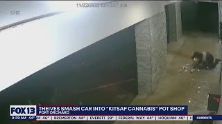 Caught on camera: Thieves smash car into "Kitsap Cannabis" pot shop | FOX 13 Seattle