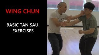Wing Chun Basic: Tan Sau exercises - Adam Chan Kung Fu Report