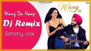 Wang Da Naap Dhol  Dj Bass Remix Ammy Virk
