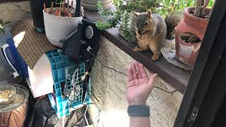 Lisa feeds the squirrels!