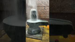 Sunday Pradosha vibuthi Abhishekam #viralvideo #harharmahadev #viral #shiva