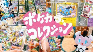 【ポケ活歴6ヶ月】ポケカコレクション一挙大公開SP🎀