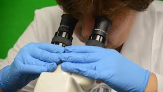 care and use of the microscope viii19