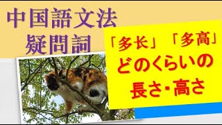 【中国語文法・疑問詞】長さ・高さを問う疑問文☆「（有）多＋形容詞」で「どのくらい～ですか？」