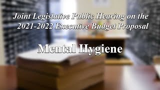 Joint Legislative Public Hearing on 2021 Executive Budget Proposal: Mental Hygiene - 02/05/21