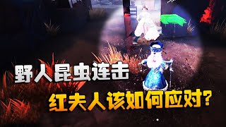 第五人格：大帅观战：野人昆虫连击！红夫人该如何应对？