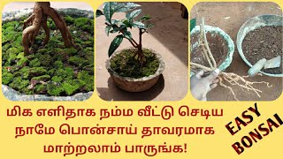 மிக எளிதாக நம்ம வீட்டு செடிய நாமே போன்சாய் தாவரமாக மாற்றலாம் பாருங்க!