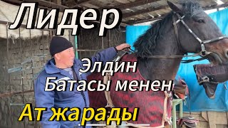 Кубаныч Саяпкер менен майек Лидер Ноокатда жакшы жарады