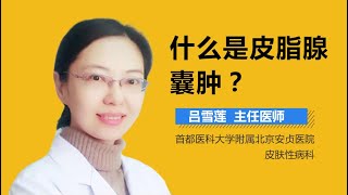 粉刺介绍 皮脂腺囊肿是什么病 有来医生