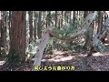 岡山県立森林公園2 3周登山