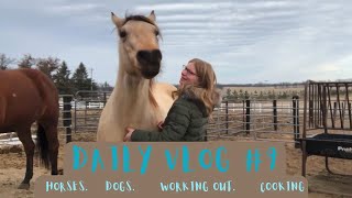 Daily Vlog #9