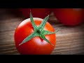 የቲማቲም አስደናቂ የጤና ጥቅሞች the benefits of tomato healthylife vegetables tomato healthylifestyele