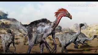 What is the truth about the Oviraptor?