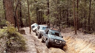 Greens Break road. Watagans State forest #4wdadventures #offroad #toyotalandcruiser #nissanpatrol