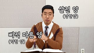 [말씀 읽어주는 목사!] 에스겔 34장 17-31절(매일성경)/김기웅 목사