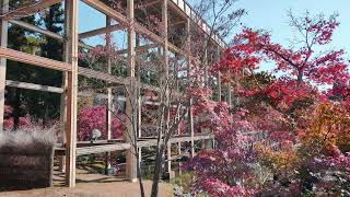 けいはんな記念公園（京都府相楽郡精華町）