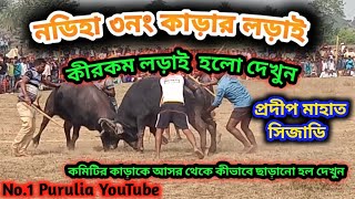 নডিহা আসরের  ৩নং কাড়ার লড়াই || কমিটির কাড়াকে আসর থেকে কীভাবে ছাড়ানো হল দেখুন ||  at nadiha