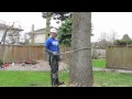 how to use tree climbing spurs spikes