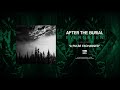 AFTER THE BURIAL - A Pulse Exchanged