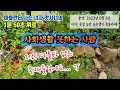 @ 앗사녀 assa 사회생활 1분50초 위로 문경농암 솔수팽이 족욕카페