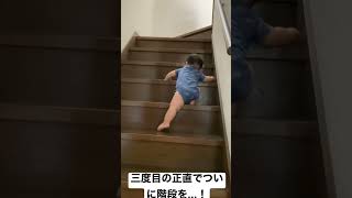 階段を登る生後10ヶ月赤ちゃん【振り返り美人】