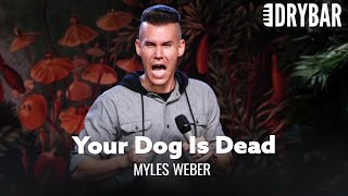 When You Think Your Dog Is Dead. Myles Weber