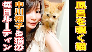 【風呂を覗く猫】中川翔子とメポの成長記録＆毎日ルーティン！猫好きは必見！