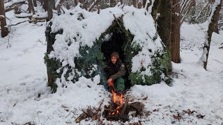 WINTER CAMPING In a SNOW STORM ALONE - Survival Shelter Build - Cold Weather BUSHCRAFT - SUB ZERO