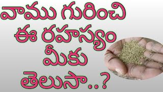 వాము గురించి మీకు ఈ రహస్యం తెలుసా...? | benefits of vamu | Ajwain