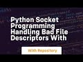 Python Socket Programming Handling Bad File Descriptors with