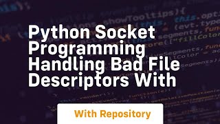 Python Socket Programming Handling Bad File Descriptors with