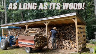 Things you need to know about firewood: Buying vs harvesting!