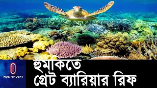 বিশ্ব ঐতিহ্য থেকে নামিয়ে এটিকে বিপদাপন্নের তালিকায় তোলার কথা ভাবছে ইউনেস্কো || [Great Barrier Reef]