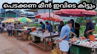 ഒരു കിലോ മീൻ 100 രൂപ | fresh fish market in Kerala | wholesale fish market/ Kerala style fish curry