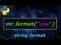 Python string format 💬