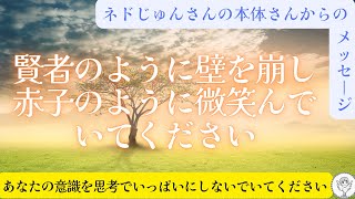 ネドじゅんさんの本体さんからのメッセージ